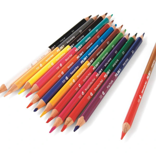 Kit de crayons et crayons gras colorés 19 pièces Lucky