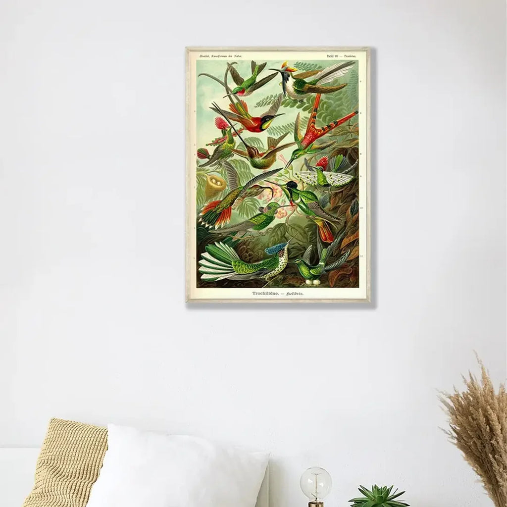 Affiche « Kolibris »