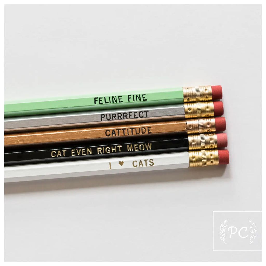 crayons de bois avec phrases amusantes autour des chats